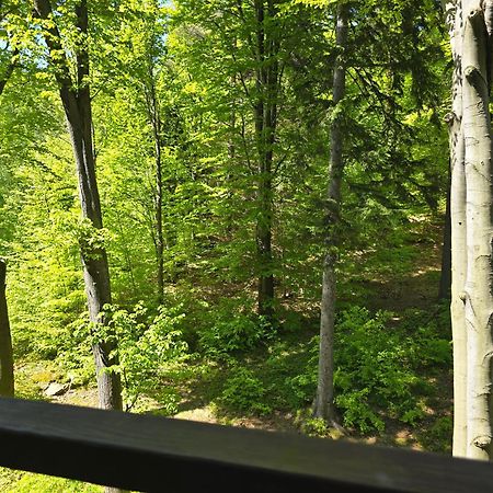 Apartament Z Pieknym Widokiem Na Las Szklarska Poręba Exterior foto